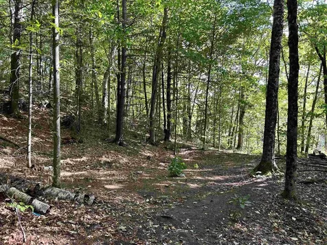 0 Gar Road Calais VT 05650