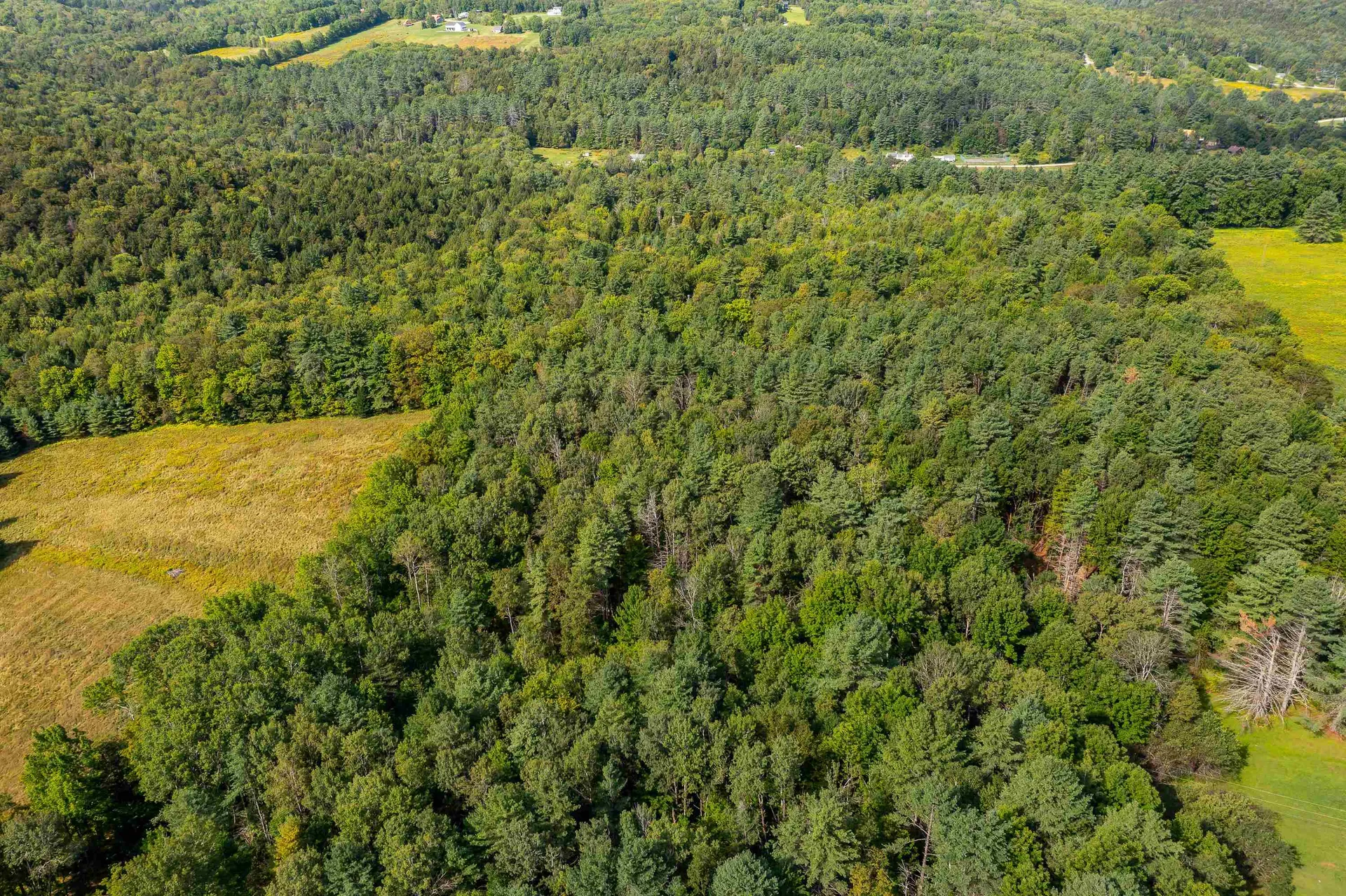 Lot #4 Meadow Road Ludlow VT 05149