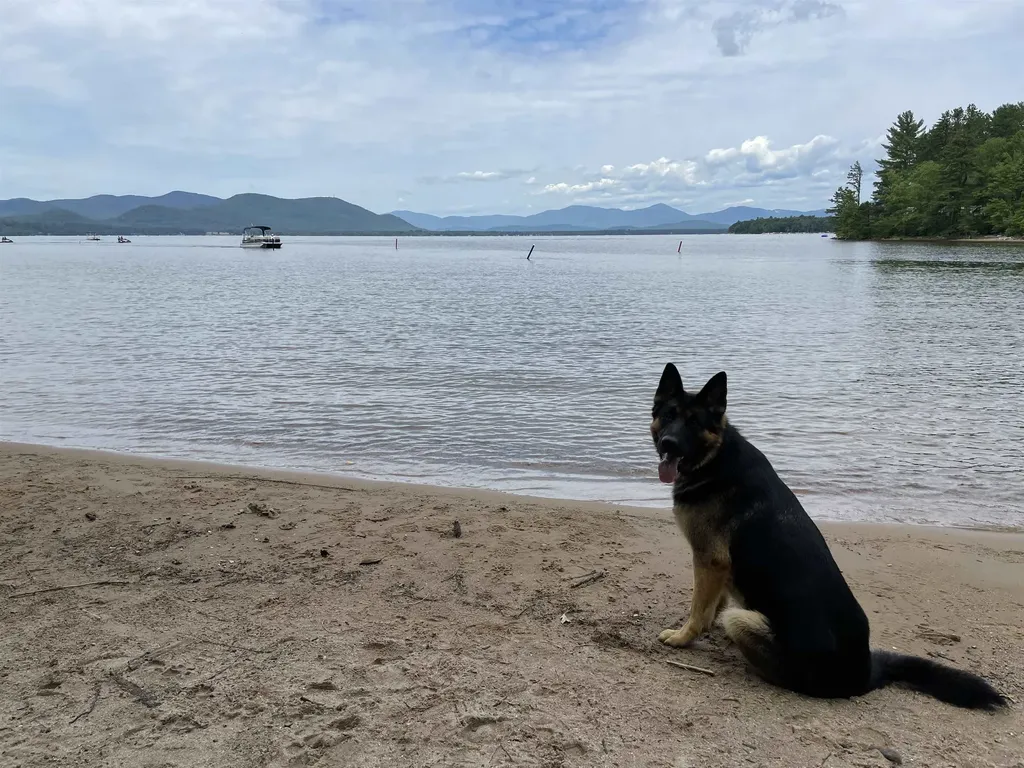 40 Logan Way Ossipee NH 03890