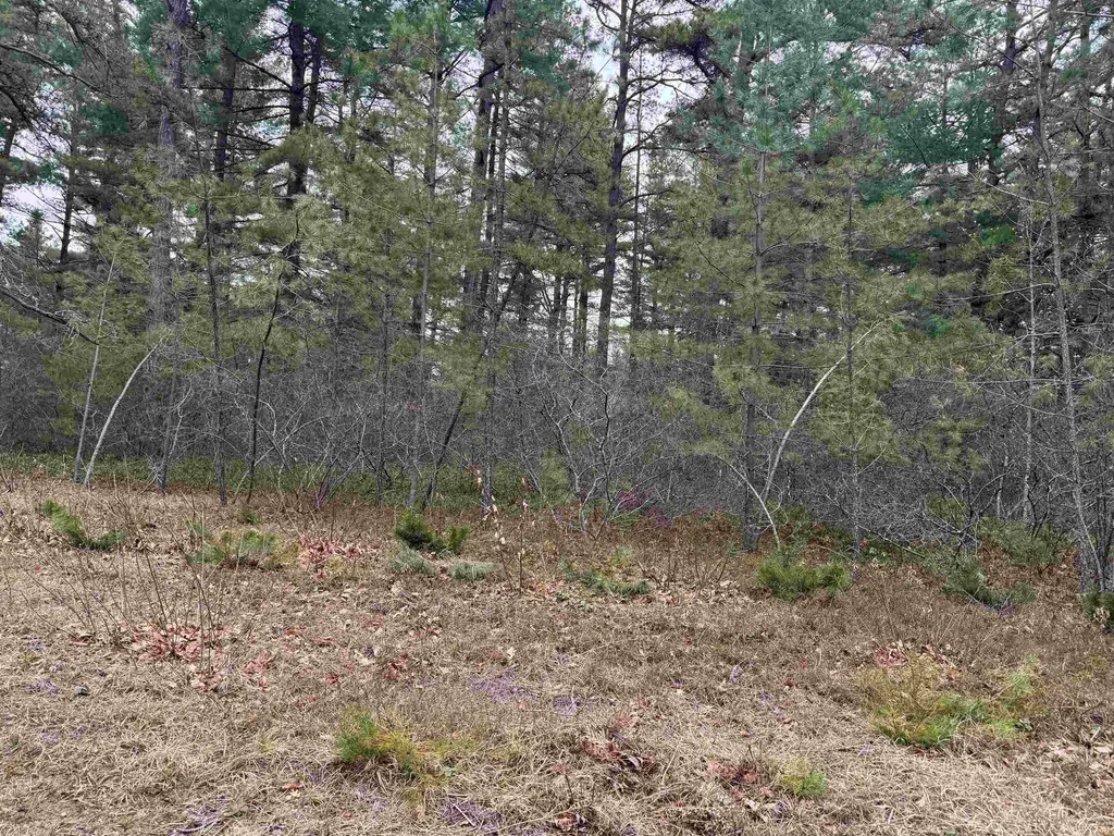 40 Logan Way Ossipee NH 03890