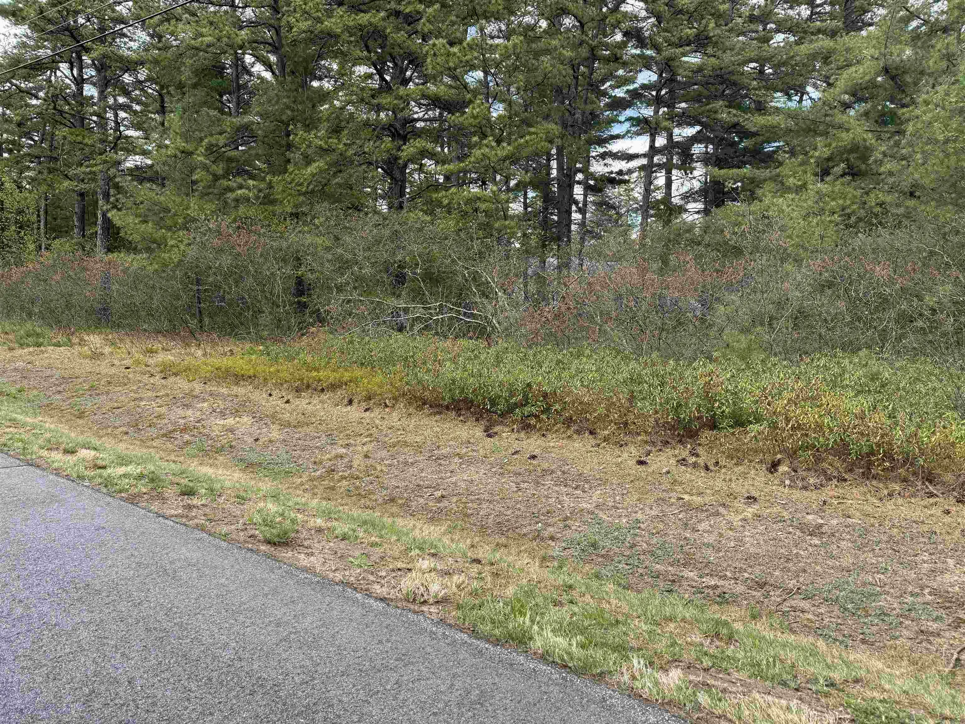 40 Logan Way Ossipee NH 03890