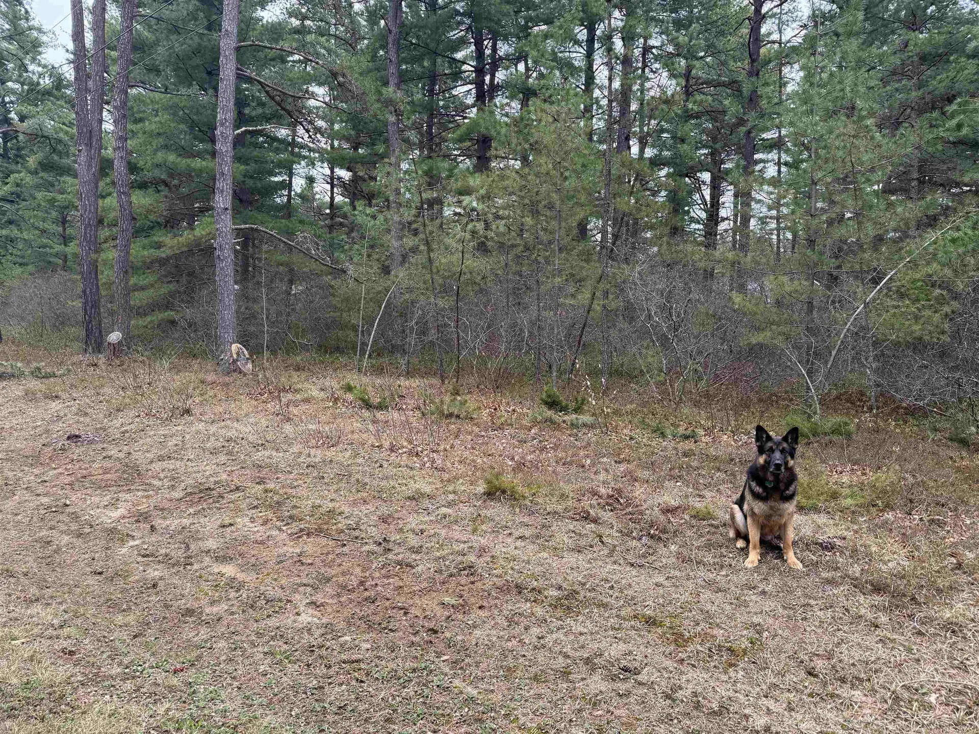 40 Logan Way Ossipee NH 03890