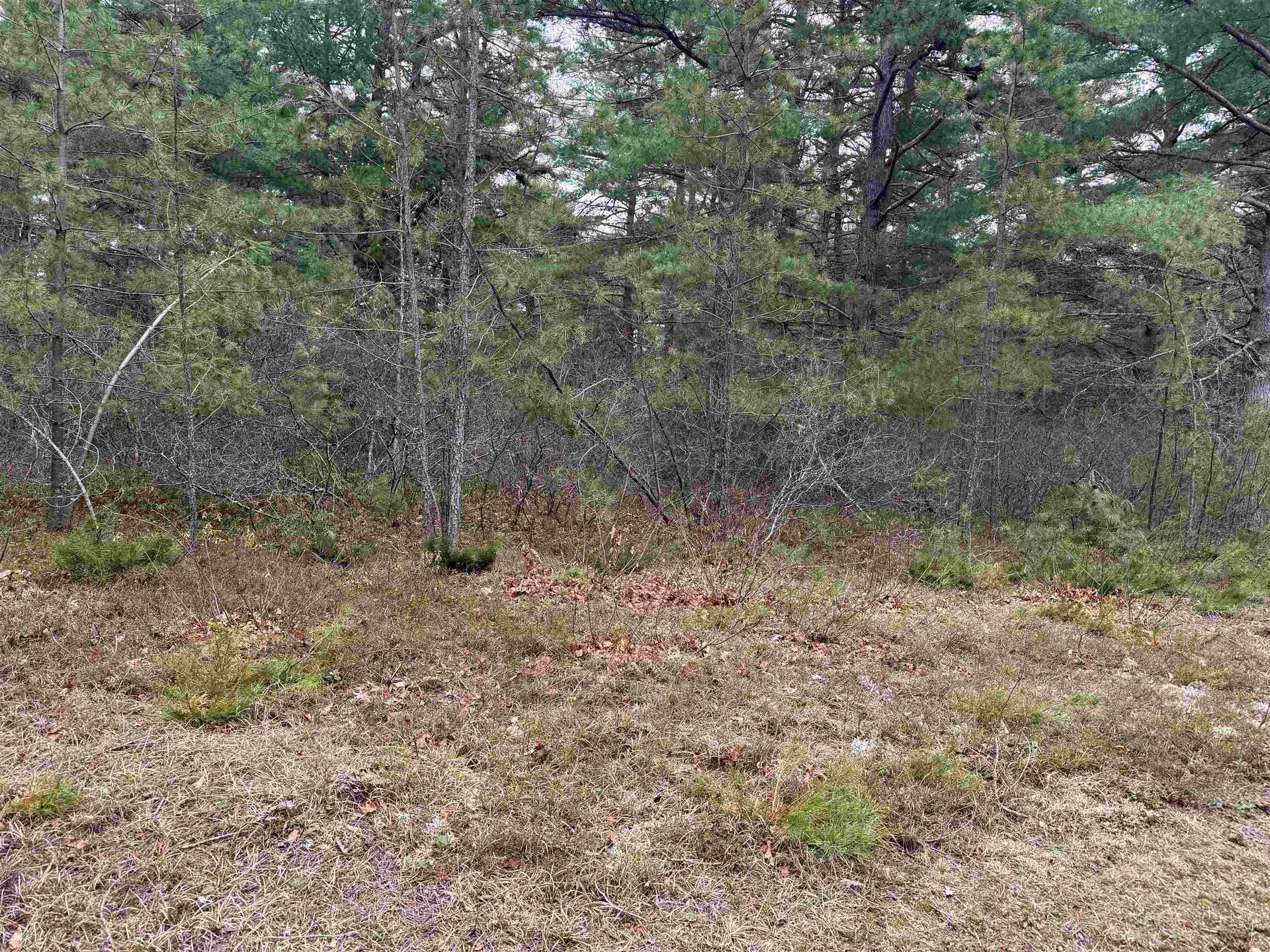 40 Logan Way Ossipee NH 03890