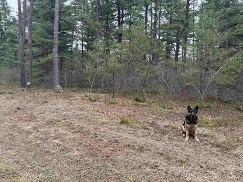 40 Logan Way Ossipee NH 03890