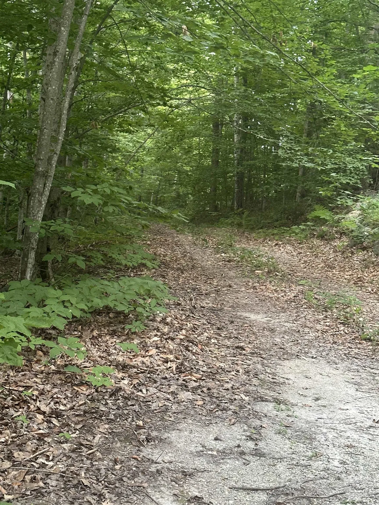 51 Crane View Drive Salisbury VT 05769