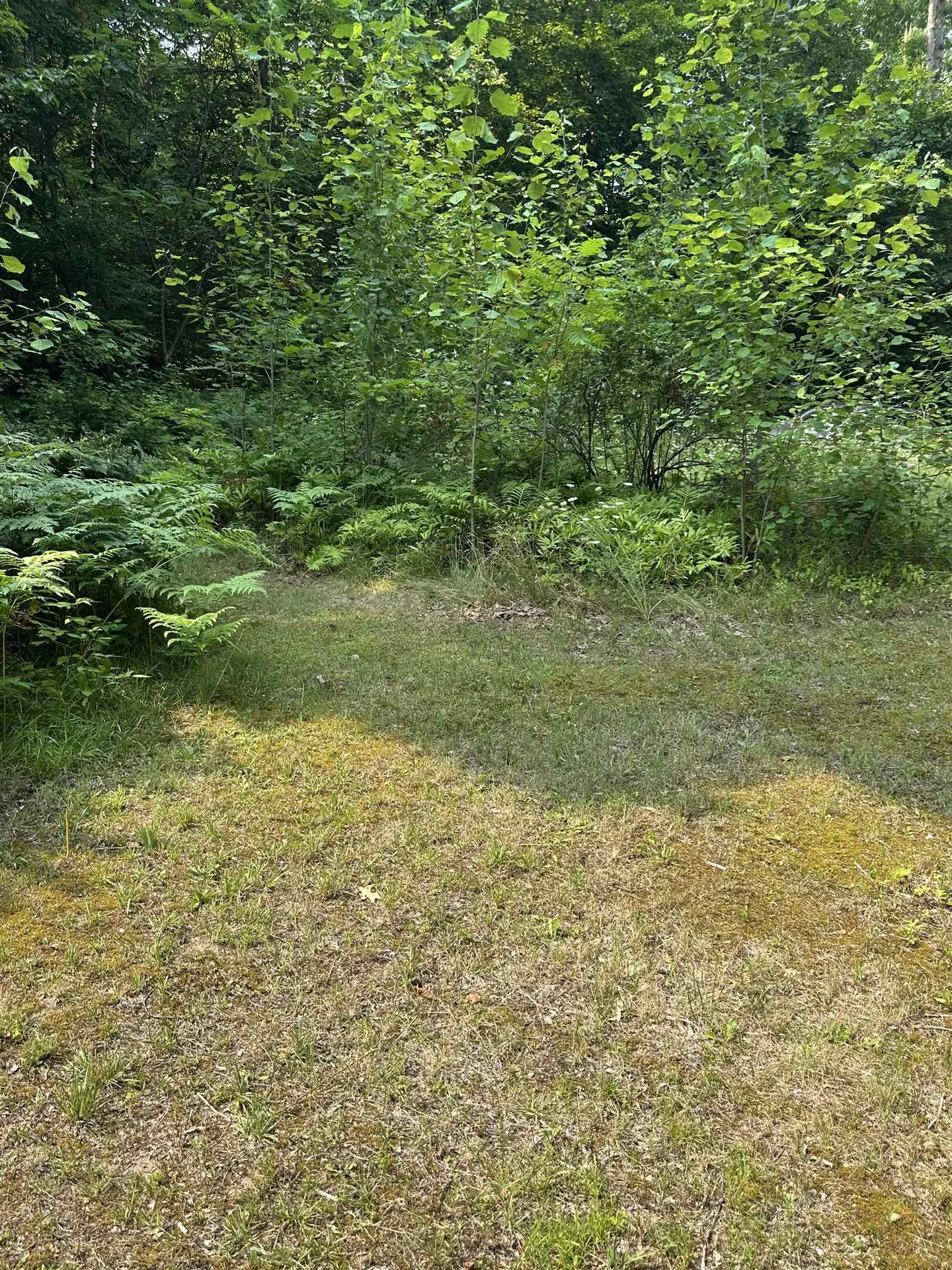 51 Crane View Drive Salisbury VT 05769