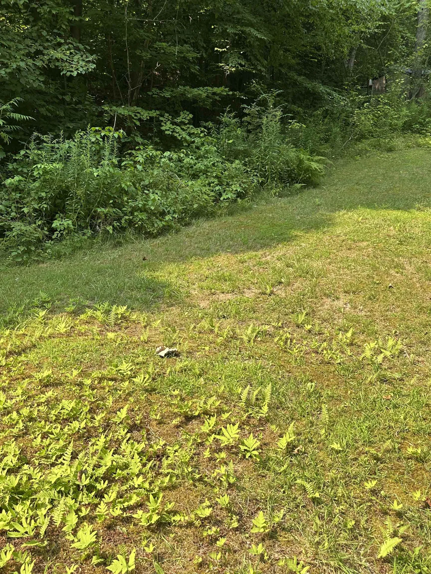 51 Crane View Drive Salisbury VT 05769