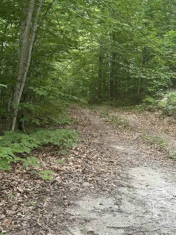 51 Crane View Drive Salisbury VT 05769