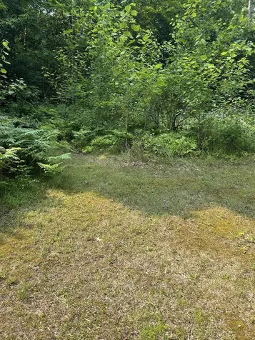 51 Crane View Drive Salisbury VT 05769