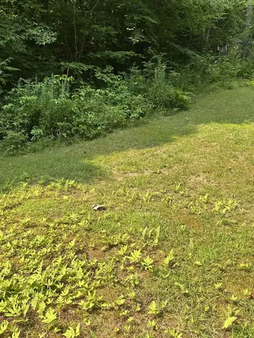 51 Crane View Drive Salisbury VT 05769