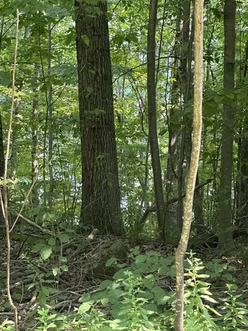 51 Crane View Drive Salisbury VT 05769