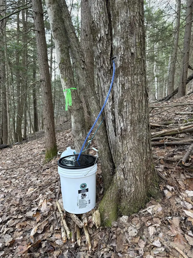 864 Nh Route 4a Enfield NH 03748