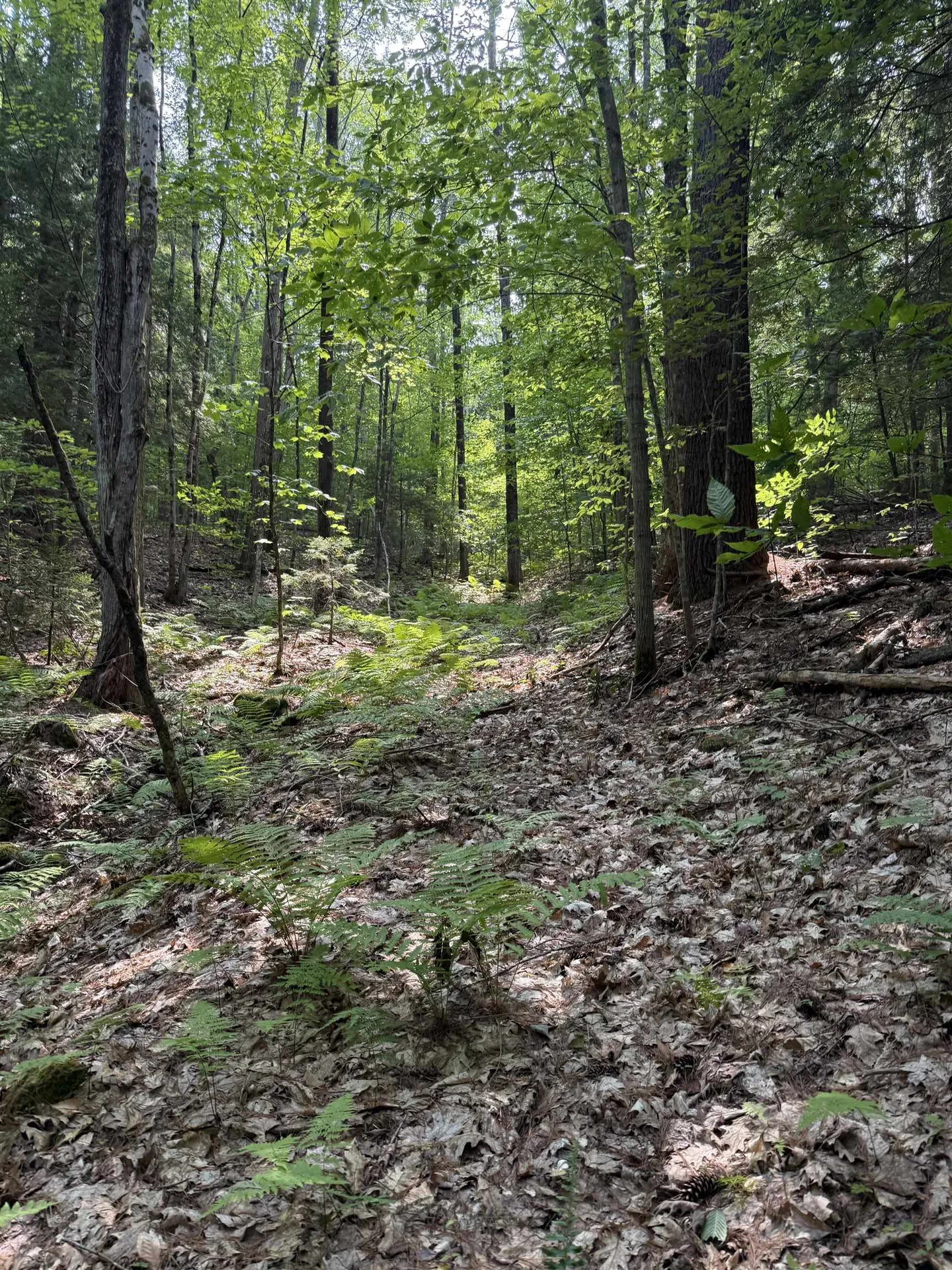 864 Nh Route 4a Enfield NH 03748