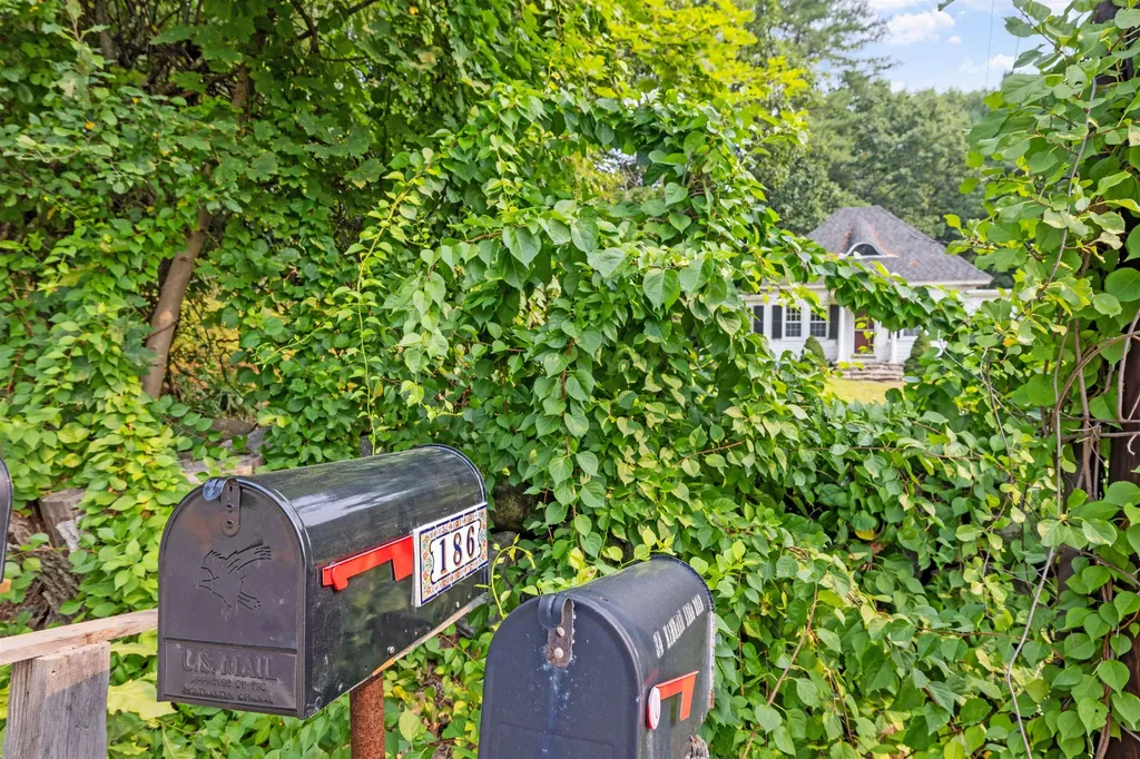 186 Main Street Hopkinton NH 03229