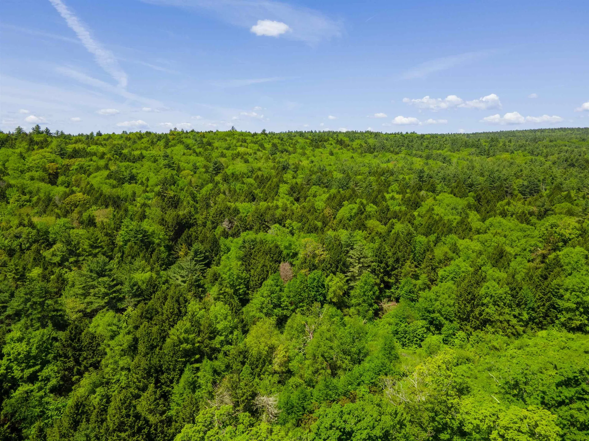 00 Pine Banks Road Westminster VT 05346