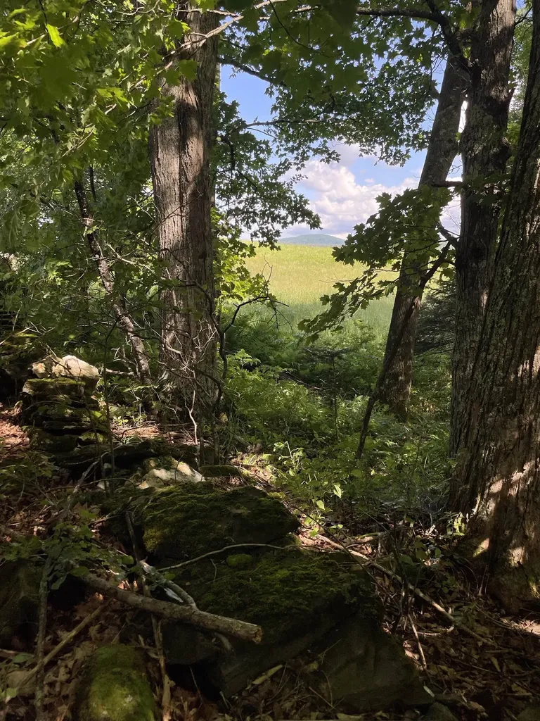 00 Ledge Hill Road Calais VT 05648