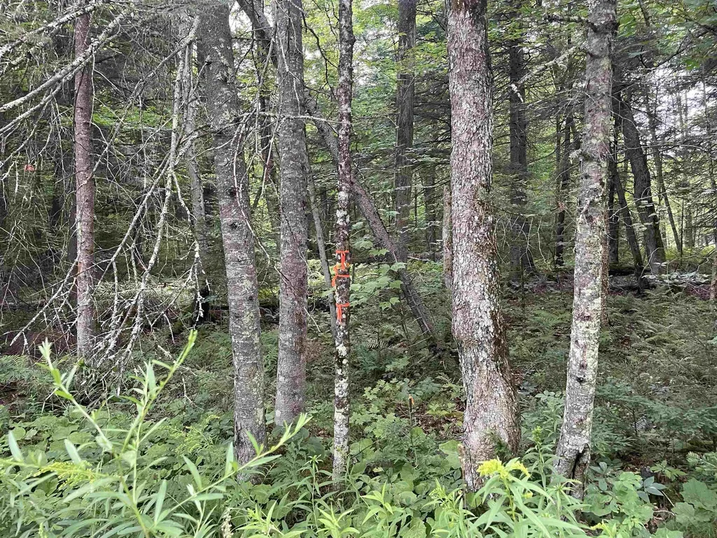 00 Ledge Hill Road Calais VT 05648