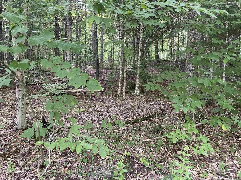 00 Ledge Hill Road Calais VT 05648