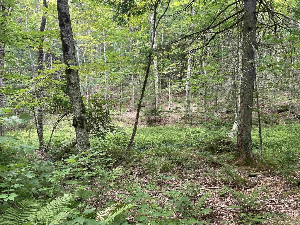 00 Ledge Hill Road Calais VT 05648