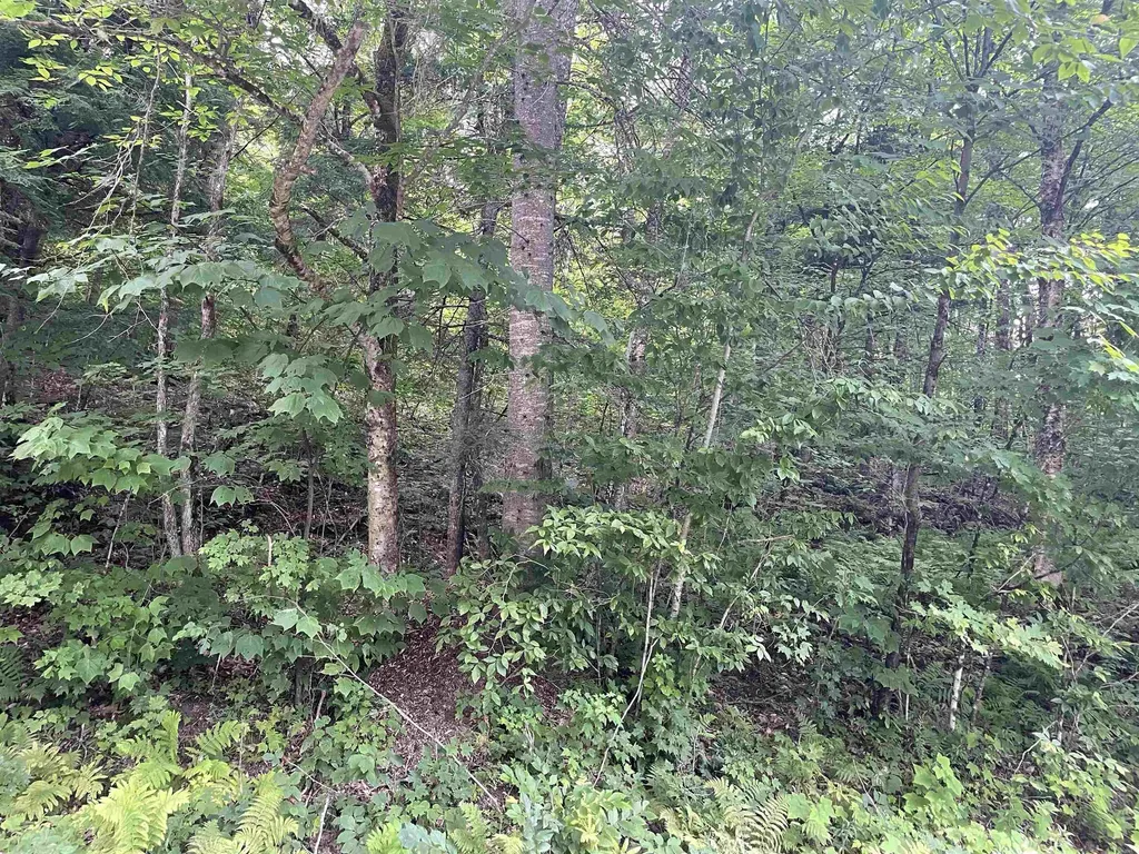 00 Ledge Hill Road Calais VT 05648