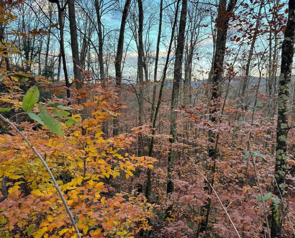 00 Ledge Hill Road Calais VT 05648