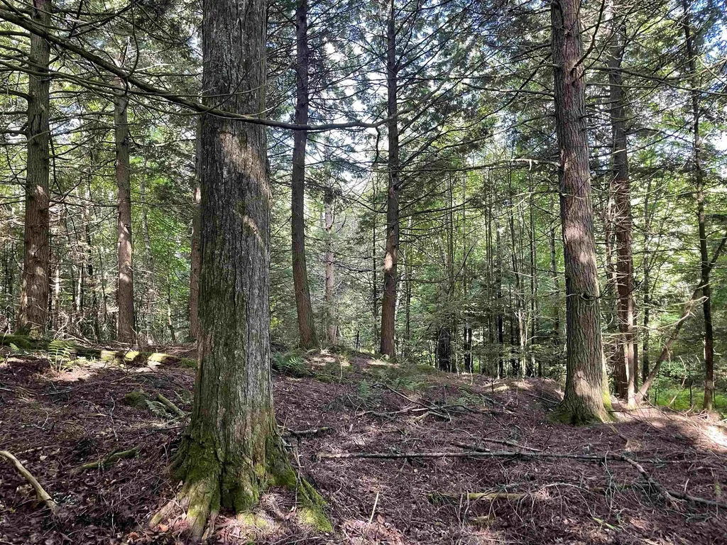 00 Ledge Hill Road Calais VT 05648