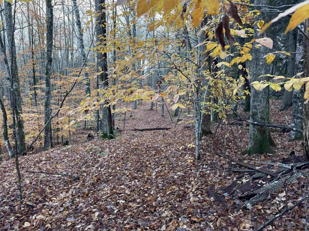 00 Ledge Hill Road Calais VT 05648