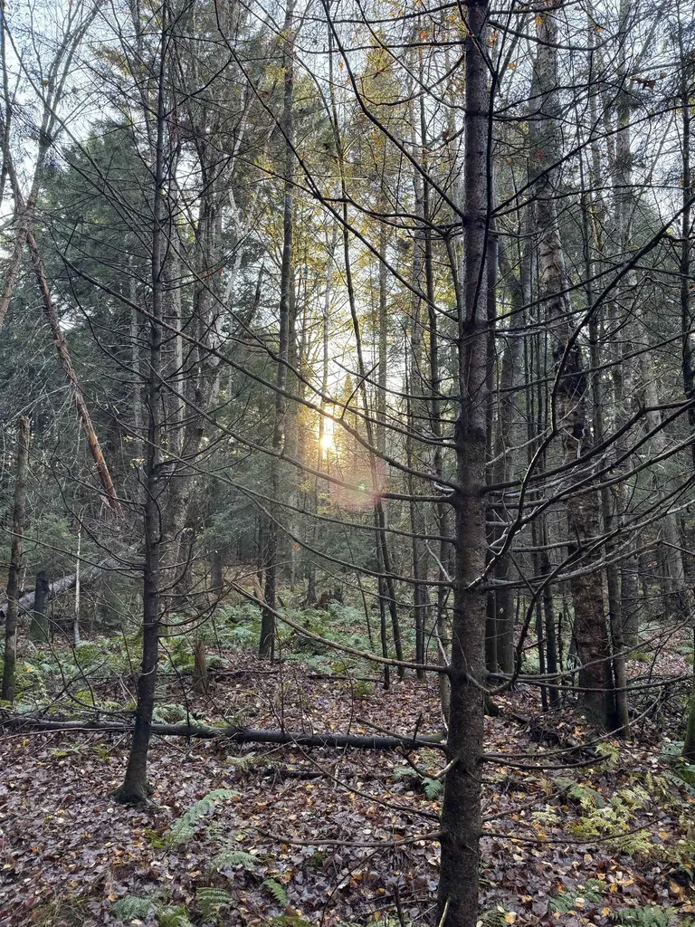 00 Ledge Hill Road Calais VT 05648