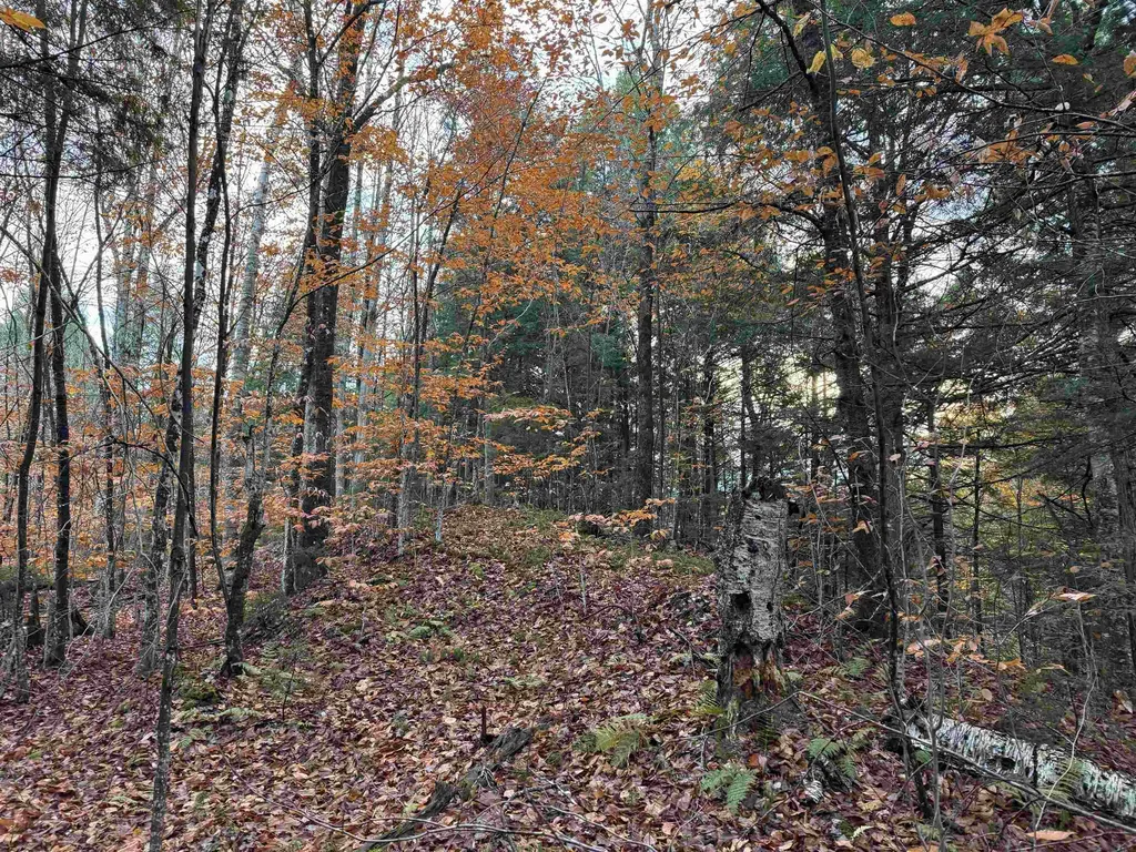 00 Ledge Hill Road Calais VT 05648