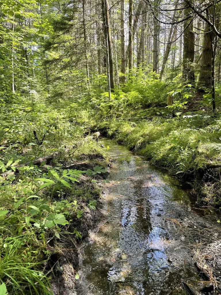 00 Ledge Hill Road Calais VT 05648