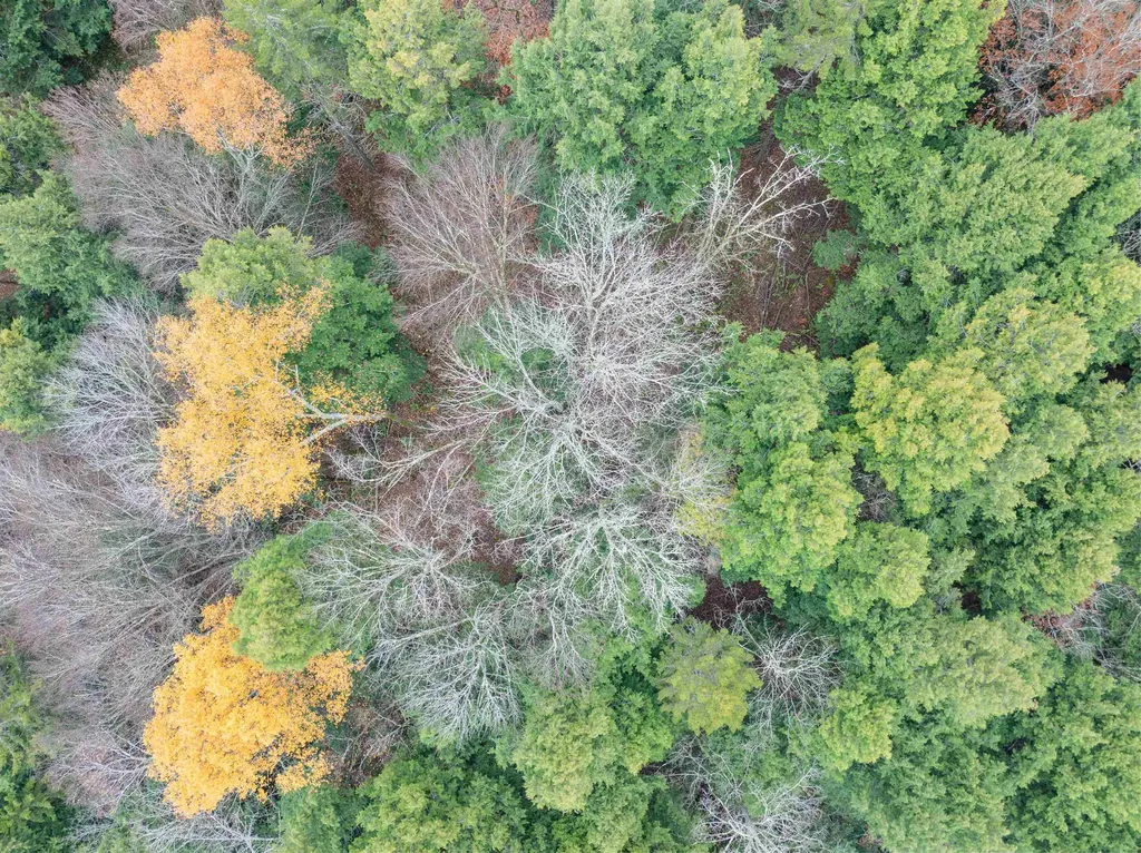 00 Ledge Hill Road Calais VT 05648