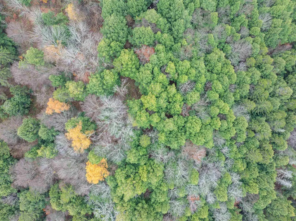 00 Ledge Hill Road Calais VT 05648