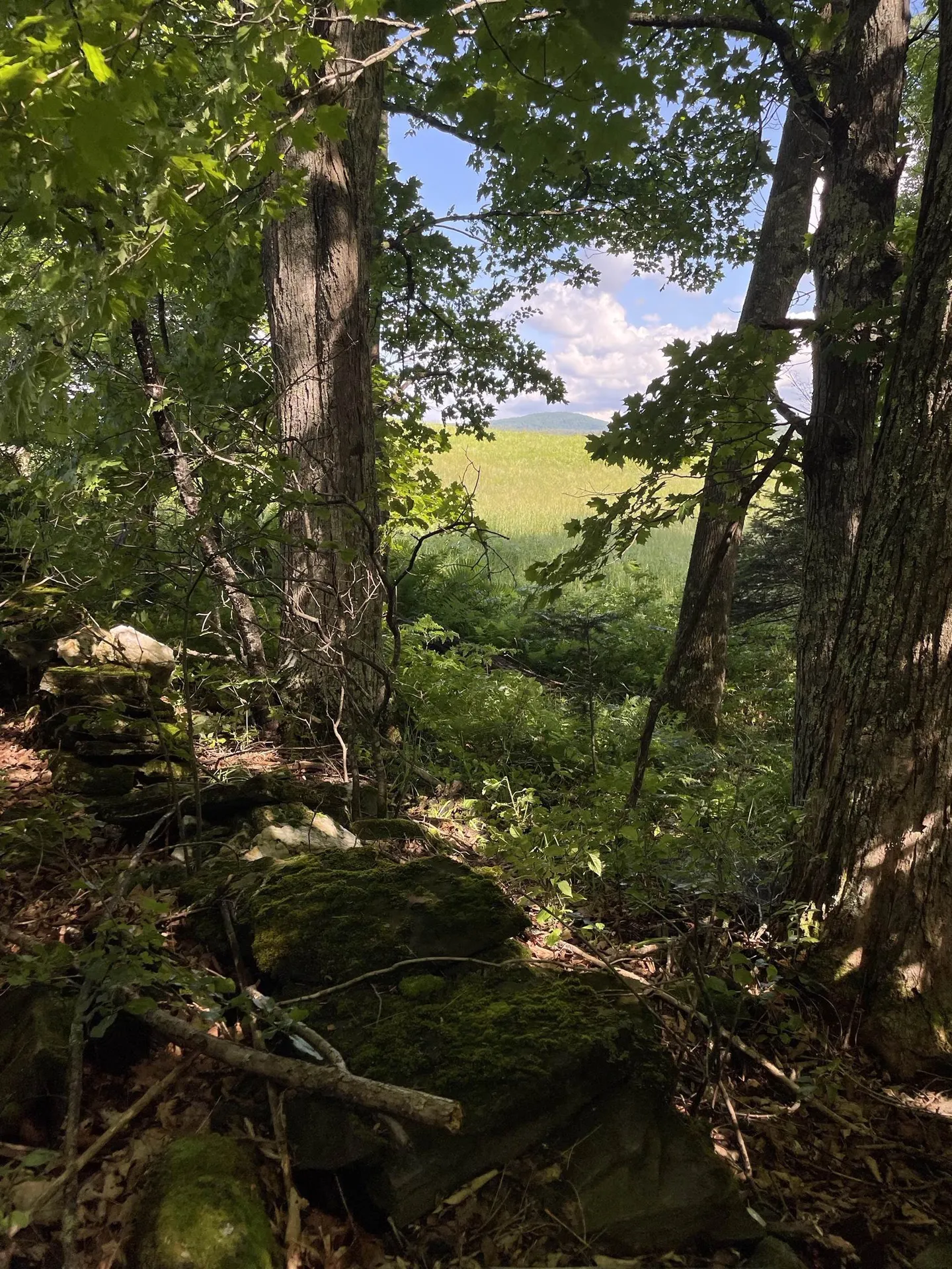 00 Ledge Hill Road Calais VT 05648