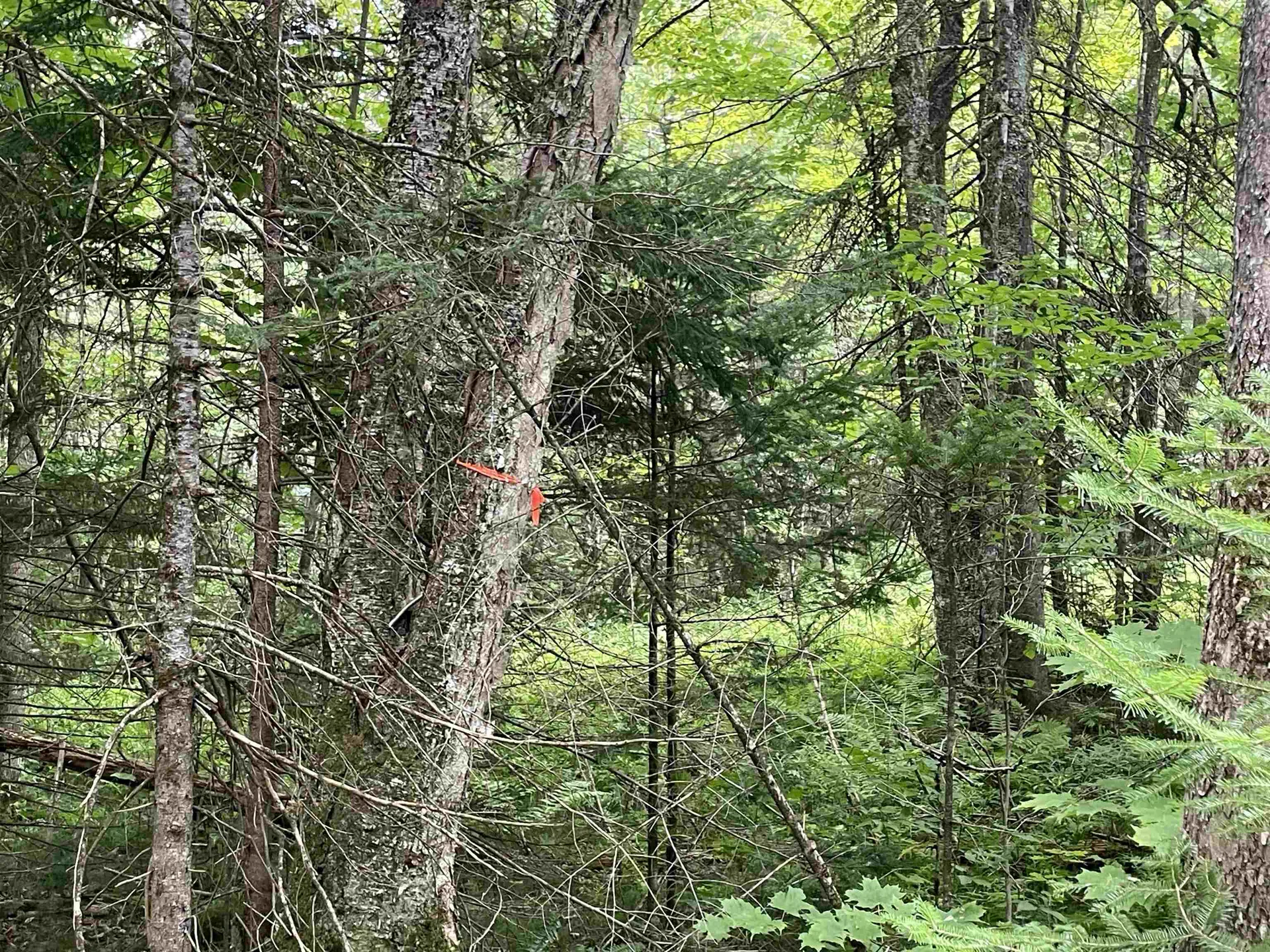 00 Ledge Hill Road Calais VT 05648