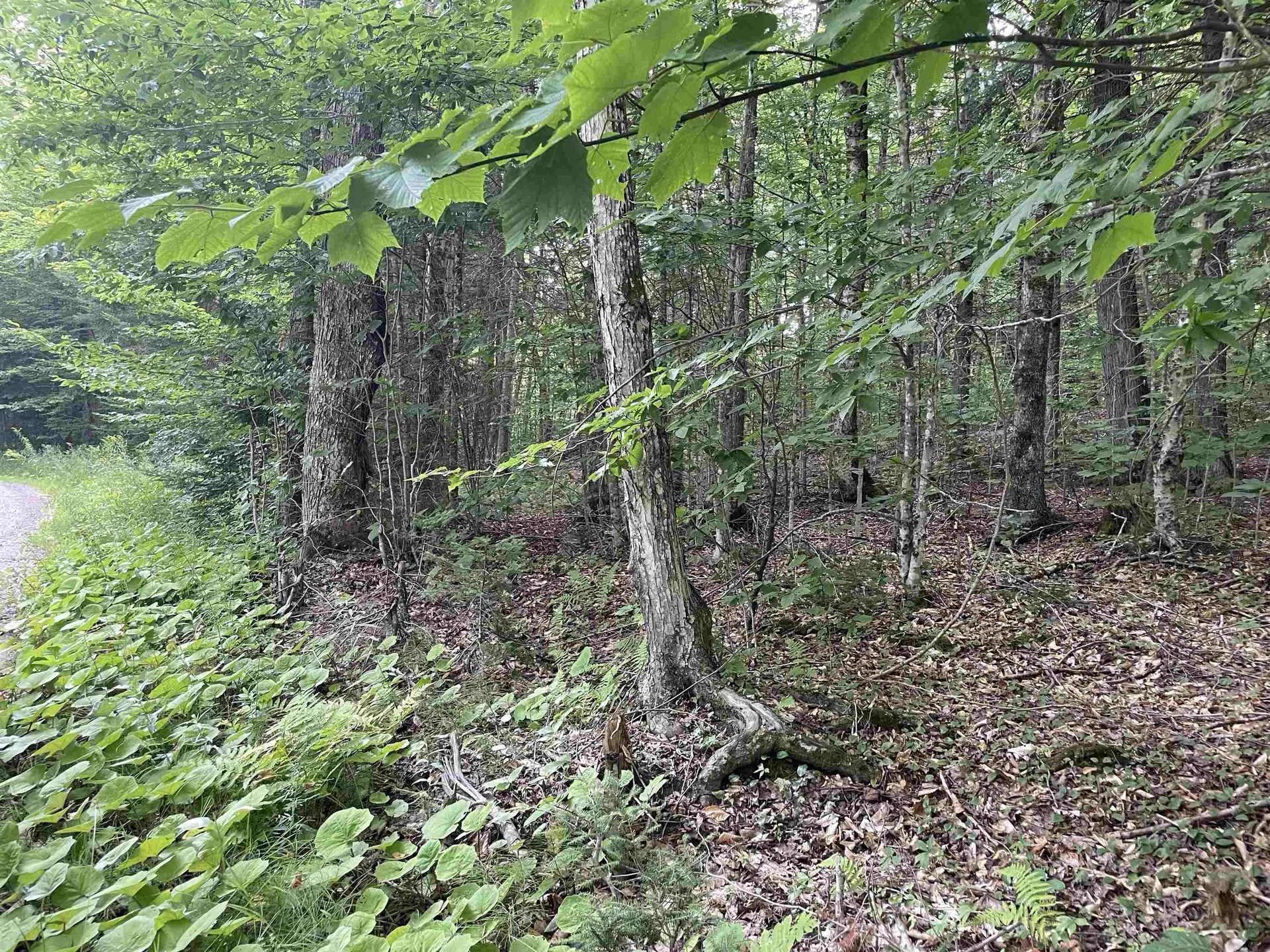 00 Ledge Hill Road Calais VT 05648