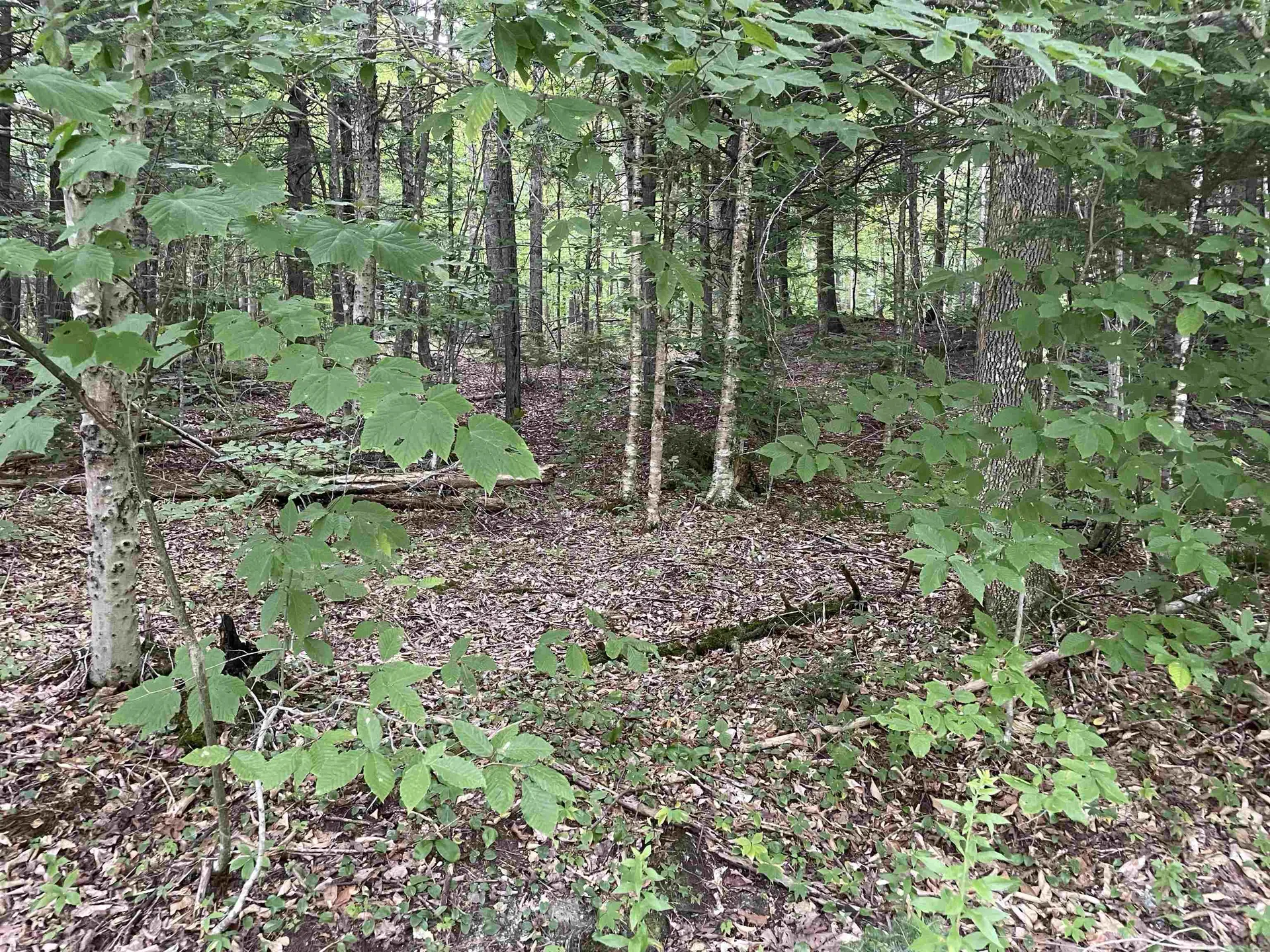 00 Ledge Hill Road Calais VT 05648