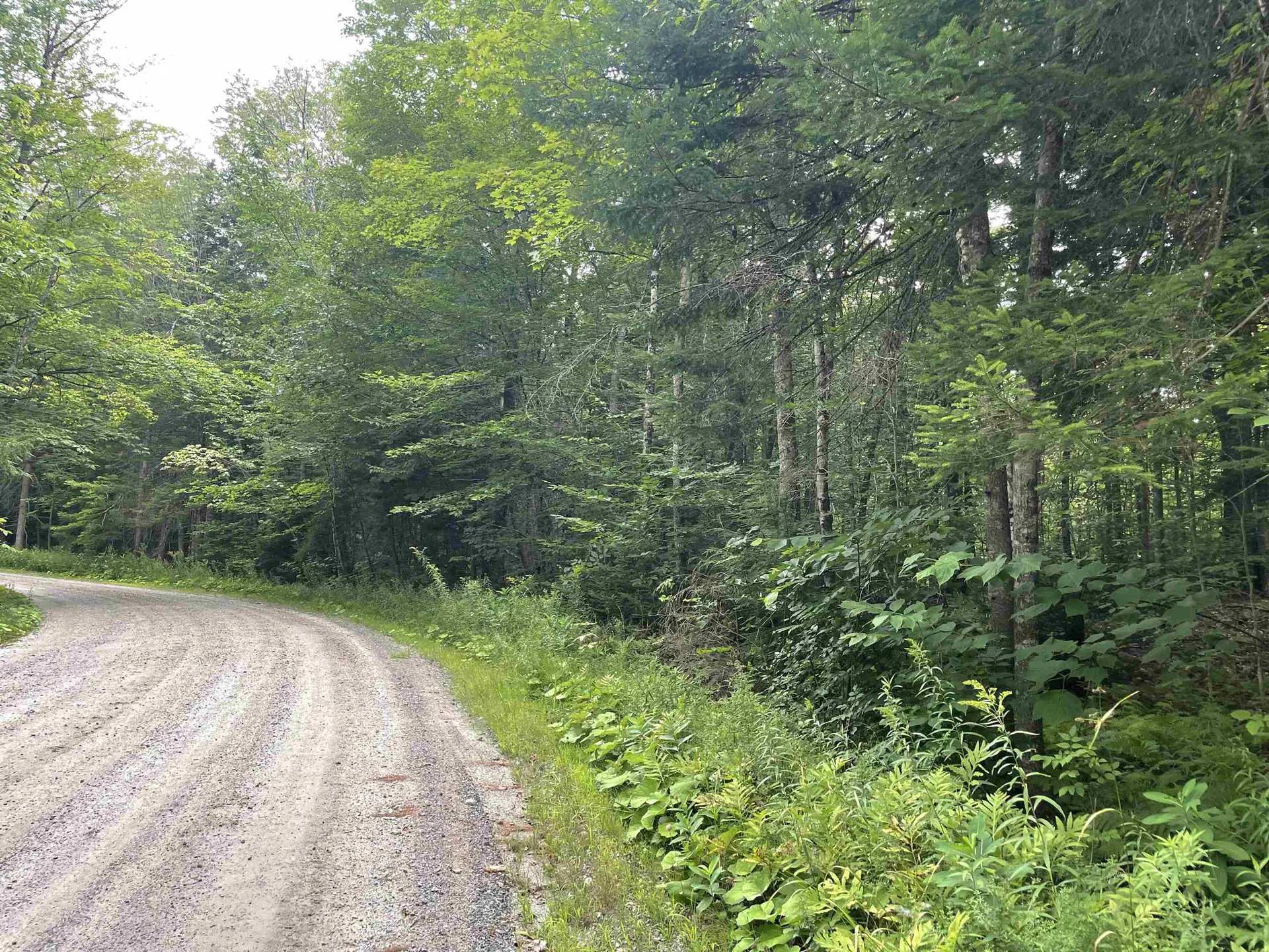 00 Ledge Hill Road Calais VT 05648