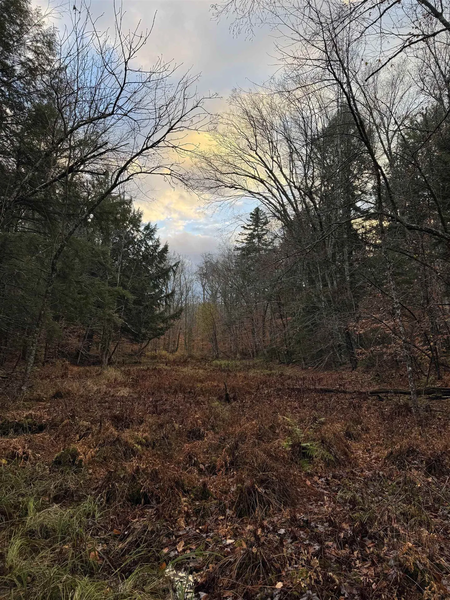 00 Ledge Hill Road Calais VT 05648