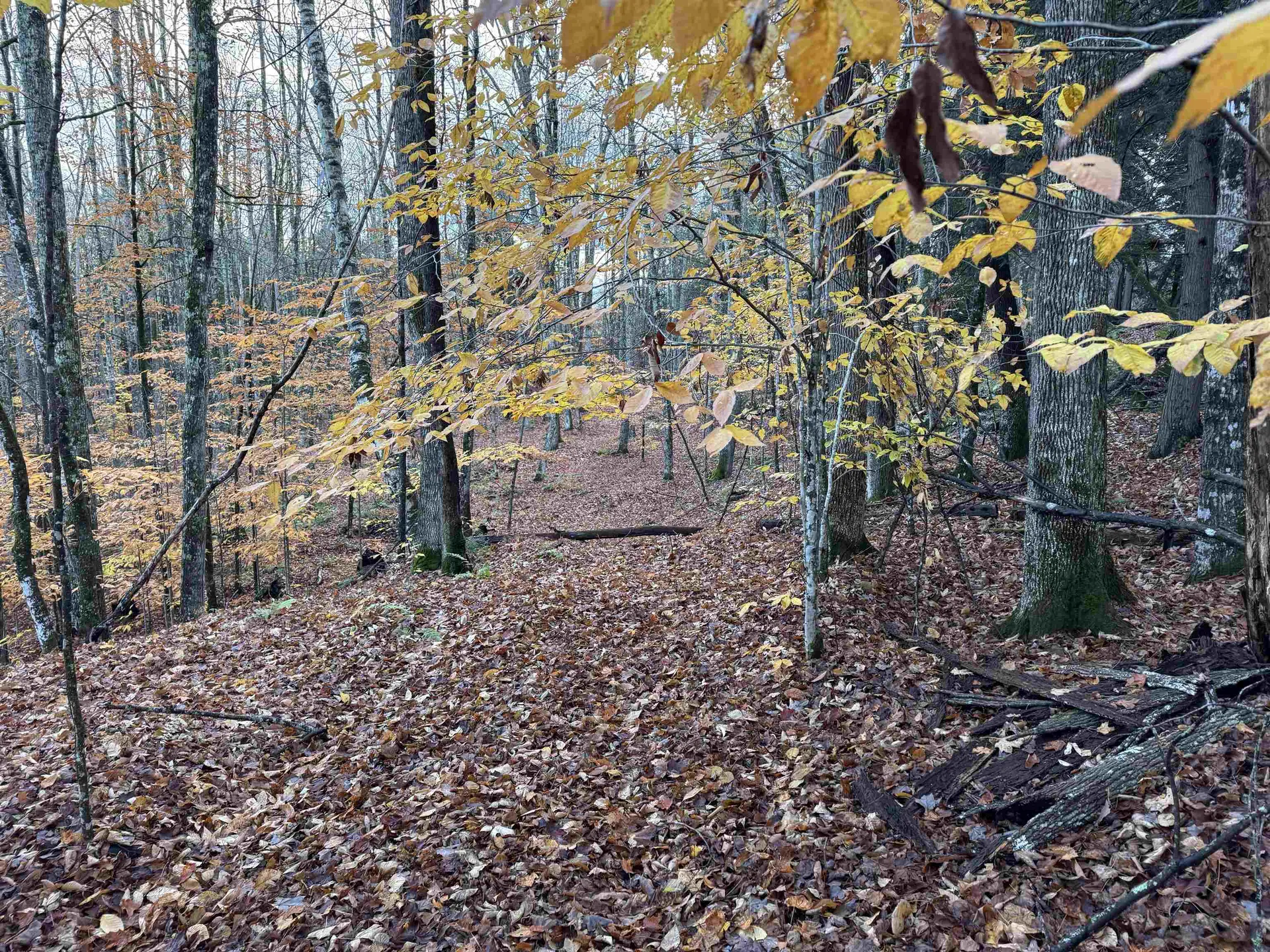 00 Ledge Hill Road Calais VT 05648