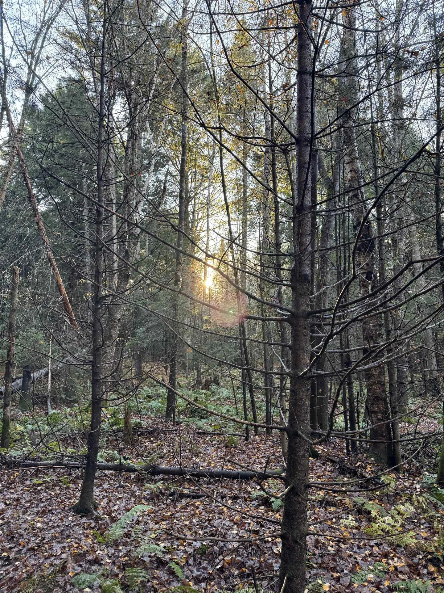 00 Ledge Hill Road Calais VT 05648