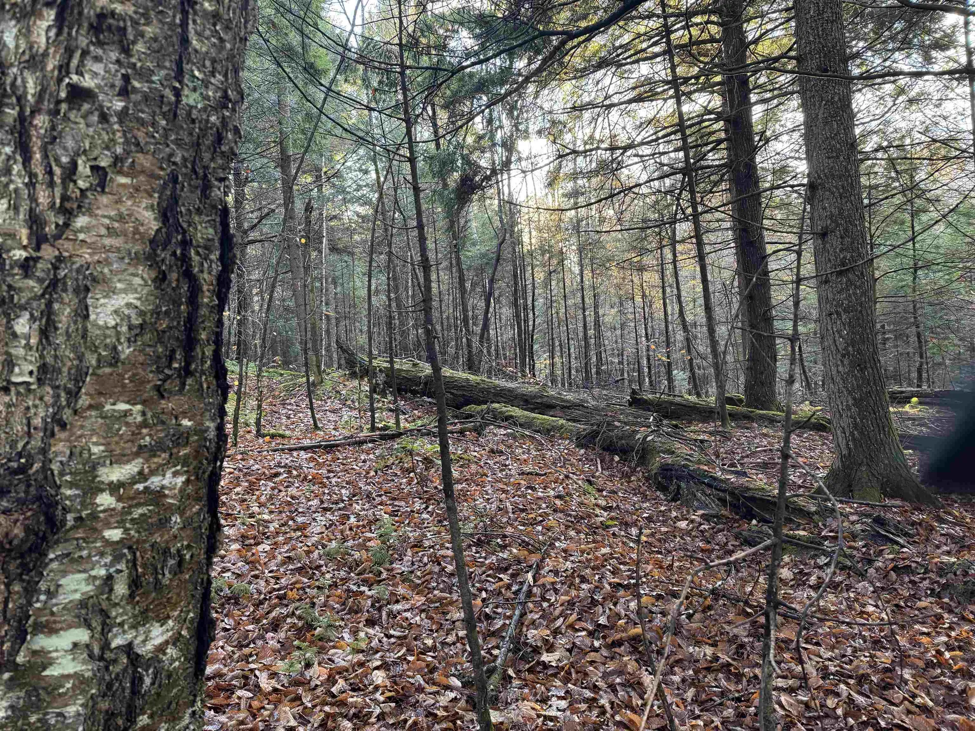 00 Ledge Hill Road Calais VT 05648