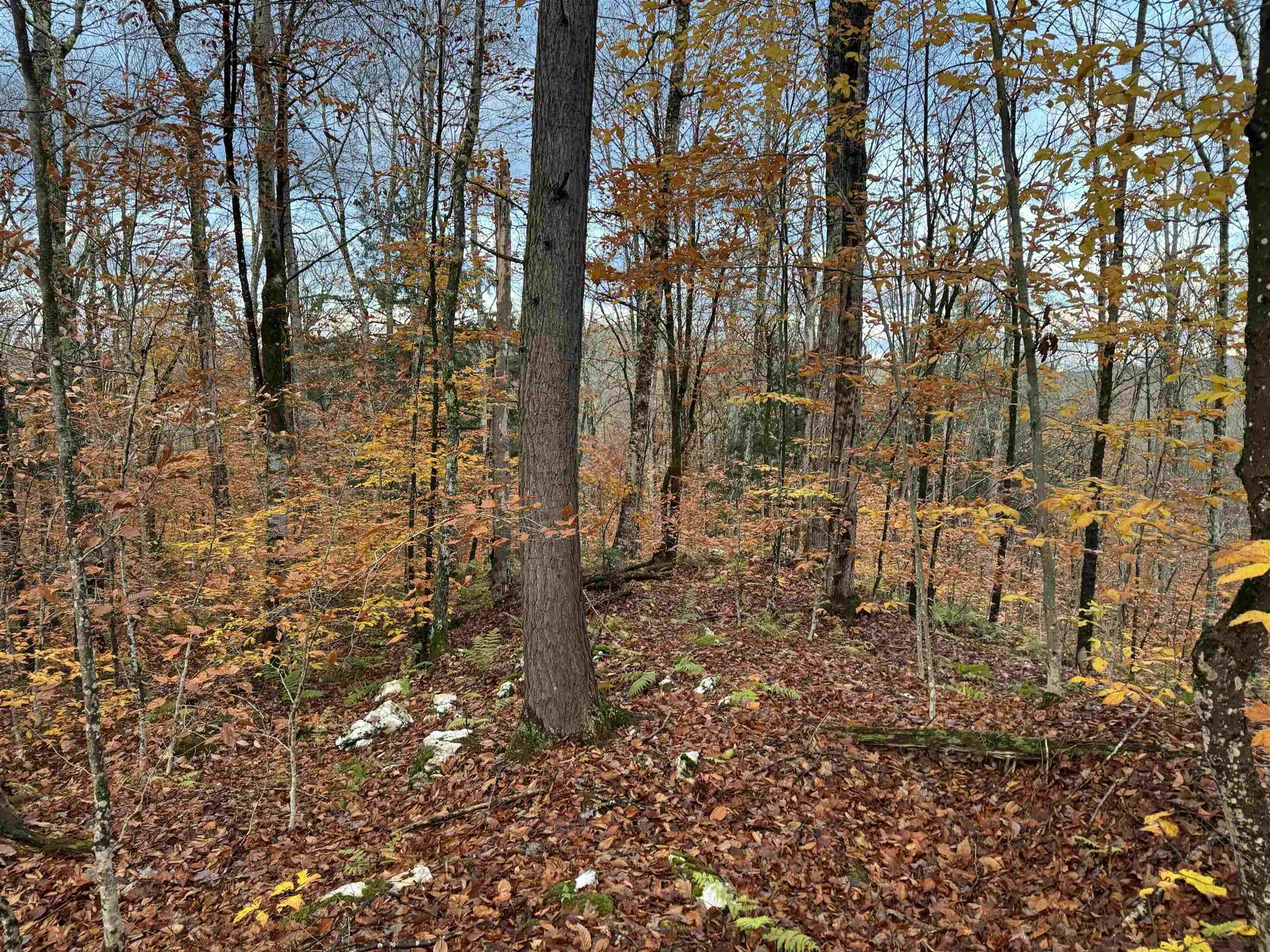 00 Ledge Hill Road Calais VT 05648