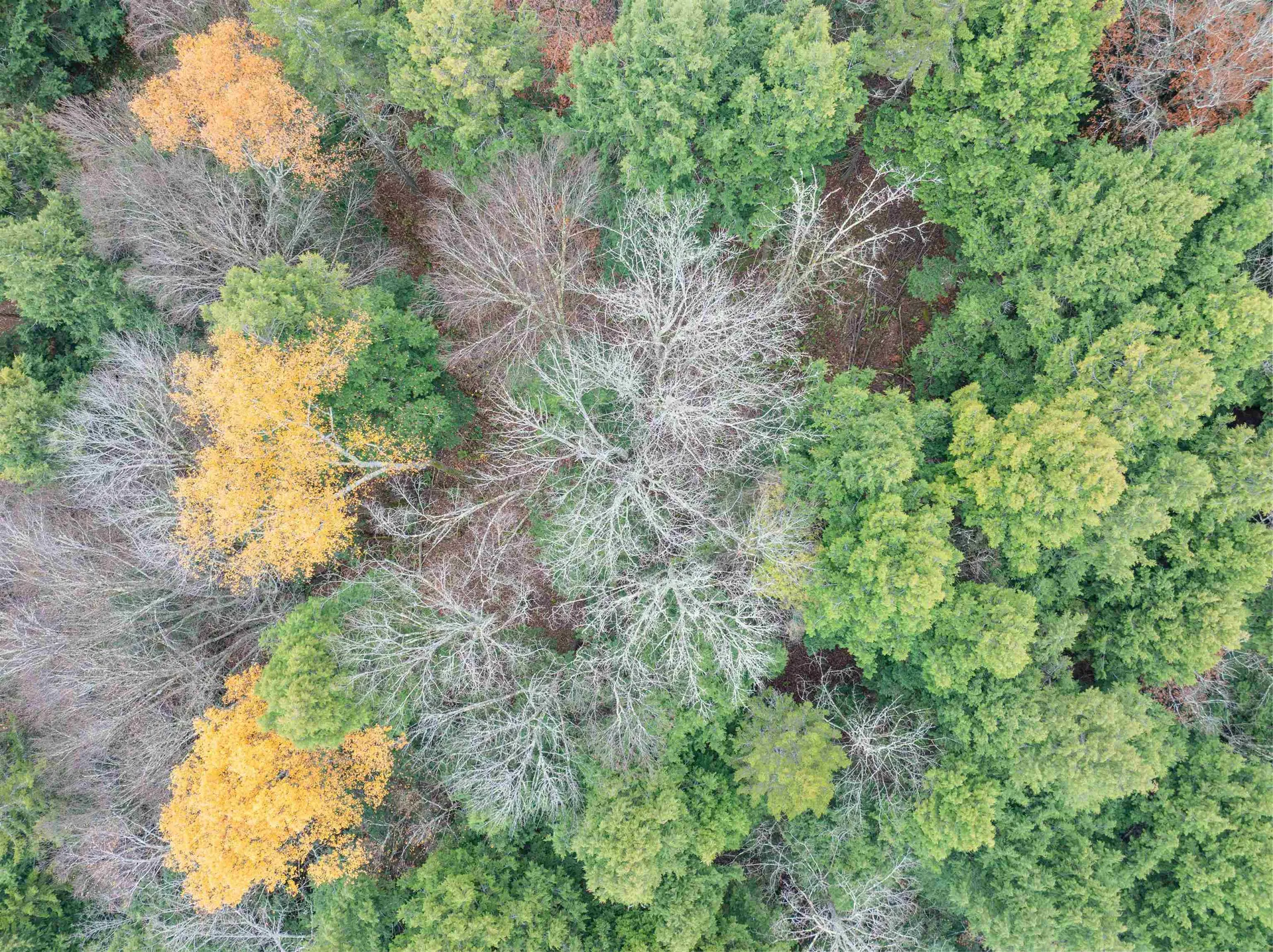 00 Ledge Hill Road Calais VT 05648