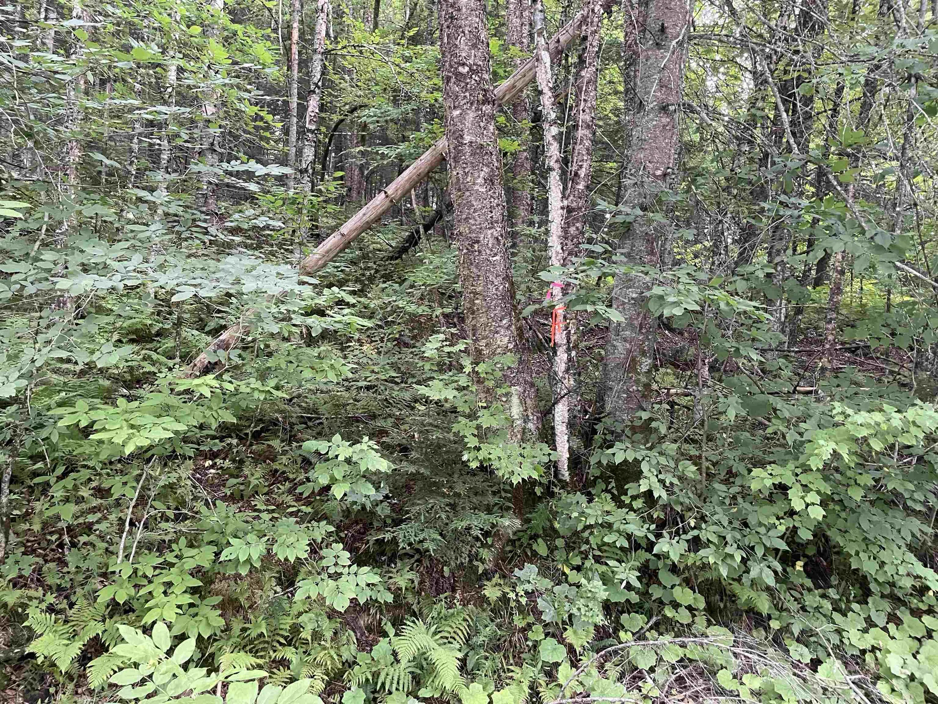 00 Ledge Hill Road Calais VT 05648