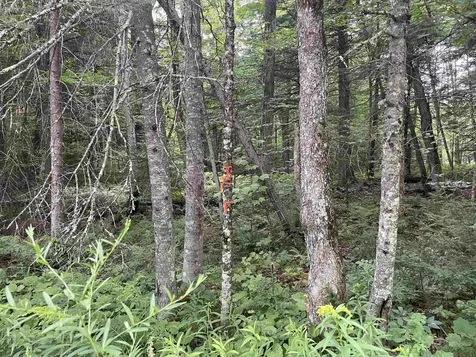 00 Ledge Hill Road Calais VT 05648