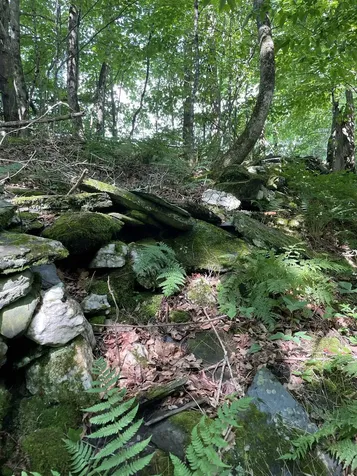 00 Ledge Hill Road Calais VT 05648