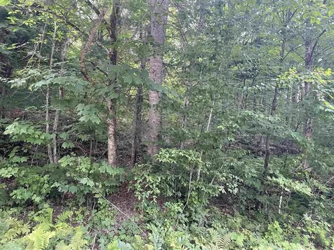 00 Ledge Hill Road Calais VT 05648