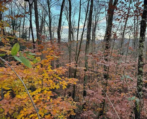 00 Ledge Hill Road Calais VT 05648