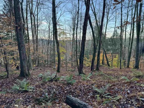 00 Ledge Hill Road Calais VT 05648