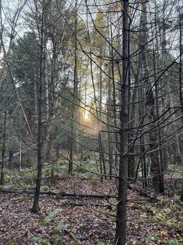 00 Ledge Hill Road Calais VT 05648